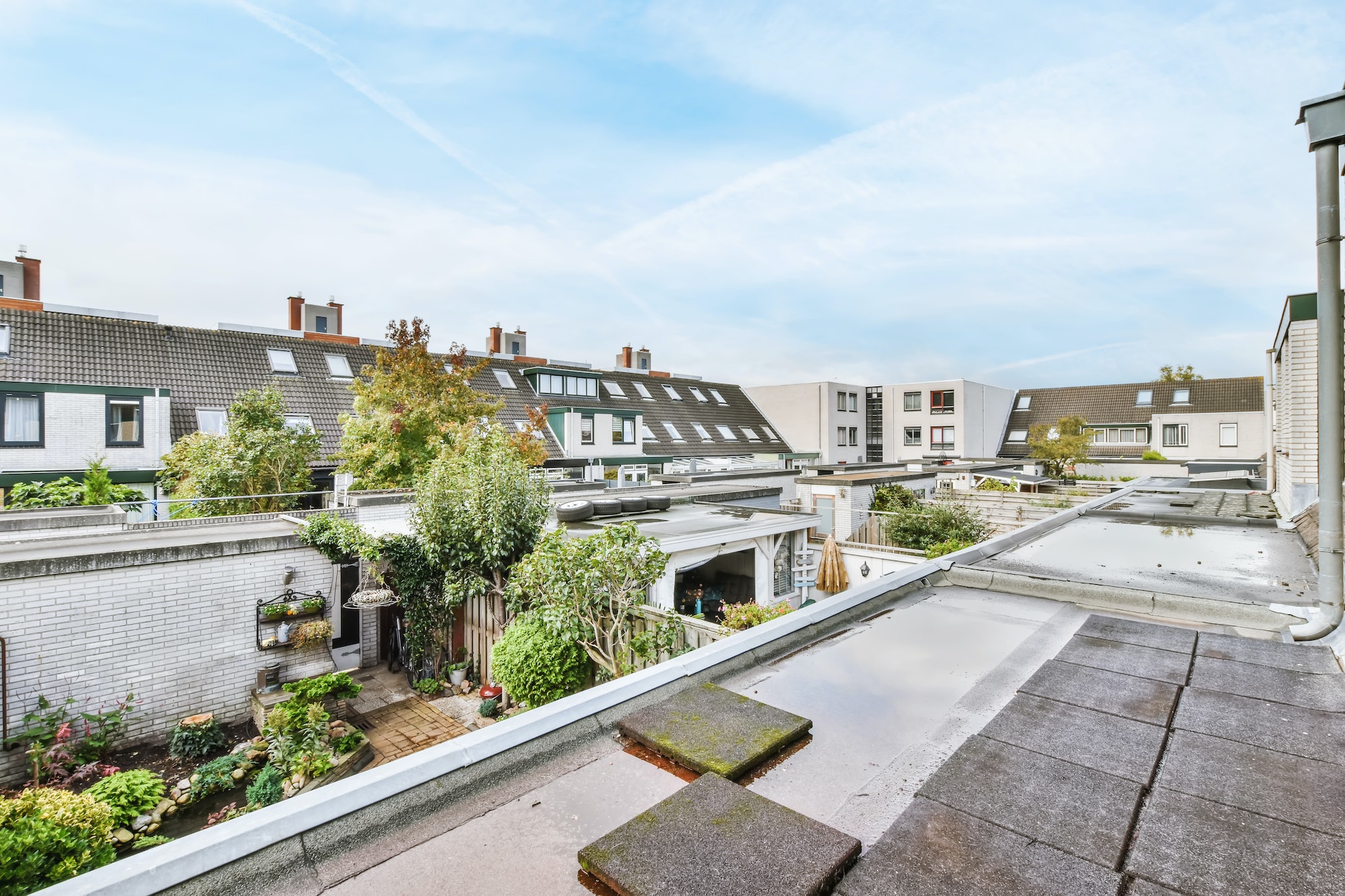 Flat roof of the building